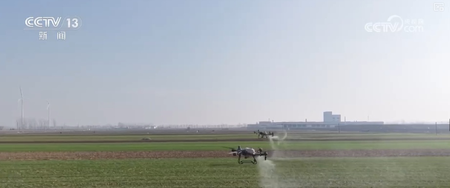 加强管理、除雪保温 打好应对寒潮“组合拳”保障粮油作物平稳越冬