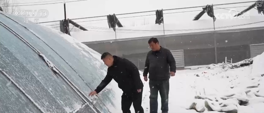 加强管理、除雪保温 打好应对寒潮“组合拳”保障粮油作物平稳越冬