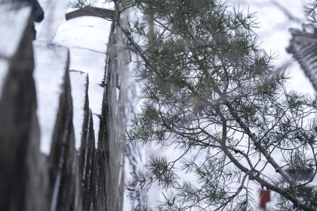 雪中延庆有多美？多图直击→