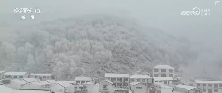 多部门以“雪”为令协同联动保畅通、保民生 全力护航百姓生产生活平稳有序