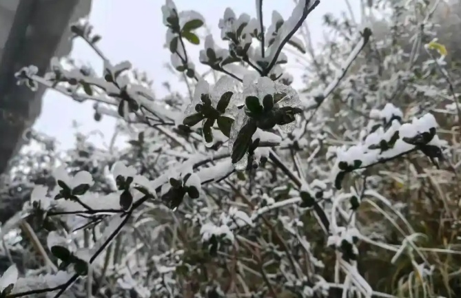 -3℃!冷空气今天抵达,广东人最怕的湿冷来了 -3℃!冷空气今天抵达,广东人最怕的湿冷来了