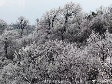 张家界天门山雾凇上线