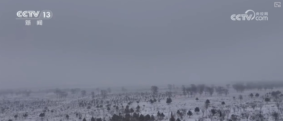 多部门以“雪”为令协同联动保畅通、保民生 全力护航百姓生产生活平稳有序
