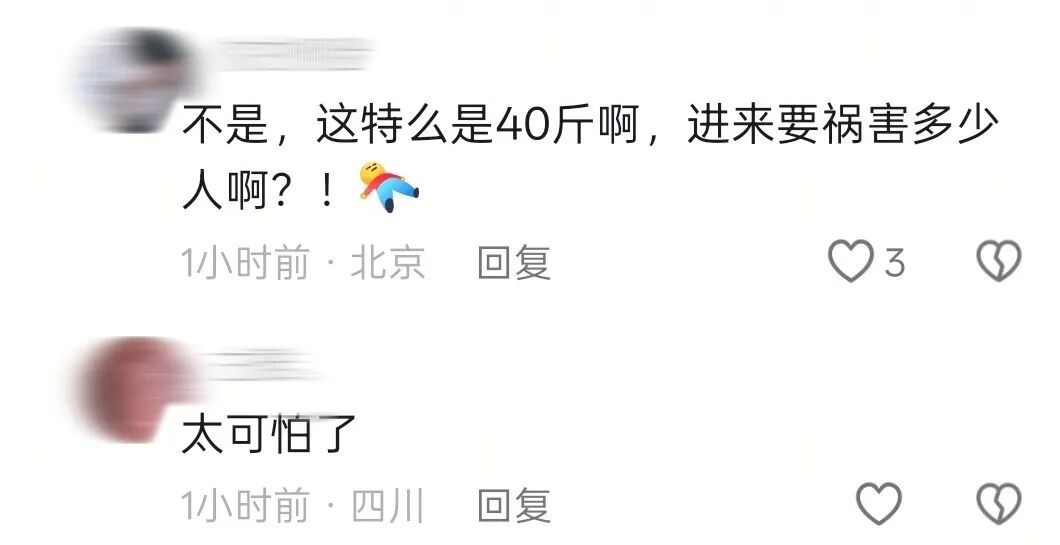 超40斤毒品被编织进地毯！深圳海关查获