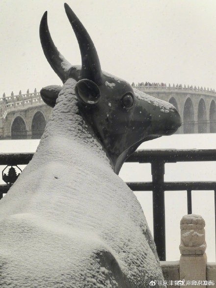 北京初雪把颐和园泼成水墨长卷 北京初雪把颐和园泼成水墨长卷