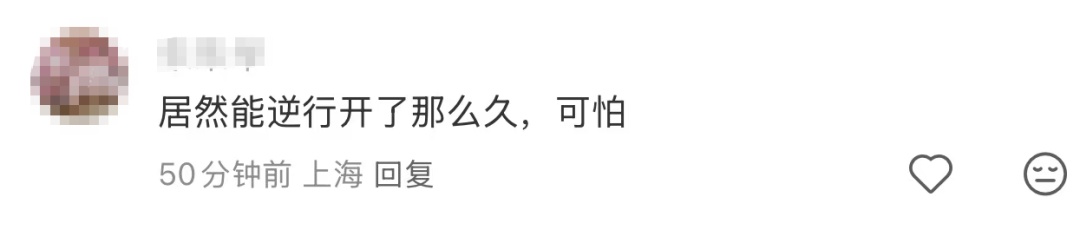 男子高架开车逆行17公里：导航叫我这么开的！民警一查……法院：判刑3年