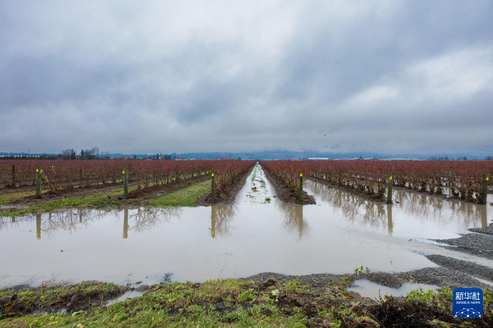 加拿大不列颠哥伦比亚省发生洪涝