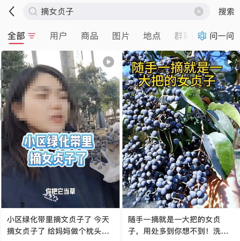 “密密麻麻”!阜阳街头突然增多!别碰、别吃! “密密麻麻”!阜阳街头突然增多!别碰、别吃!