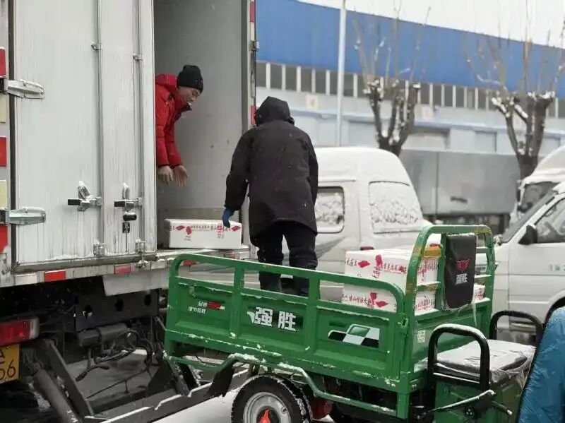 北京的这场雪,会影响菜价吗? 北京的这场雪,会影响菜价吗?