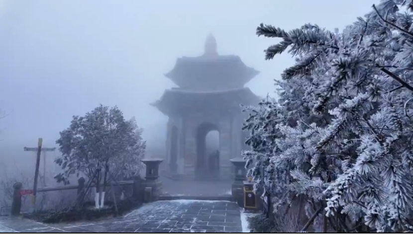 开始下雪了？！义乌人做好准备
