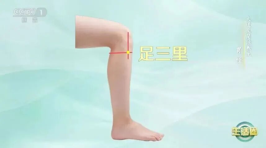 你以为是在休息，其实在“耗伤气血”，简单两步，帮你把亏掉的气血补回来