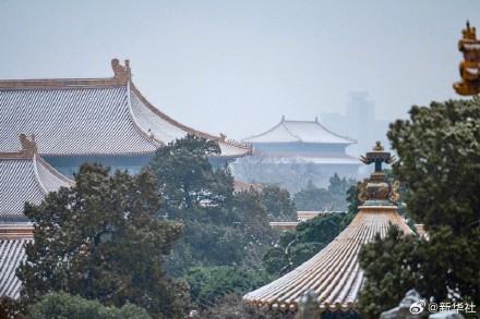 唯美!被初雪下的故宫惊艳到了 唯美!被初雪下的故宫惊艳到了