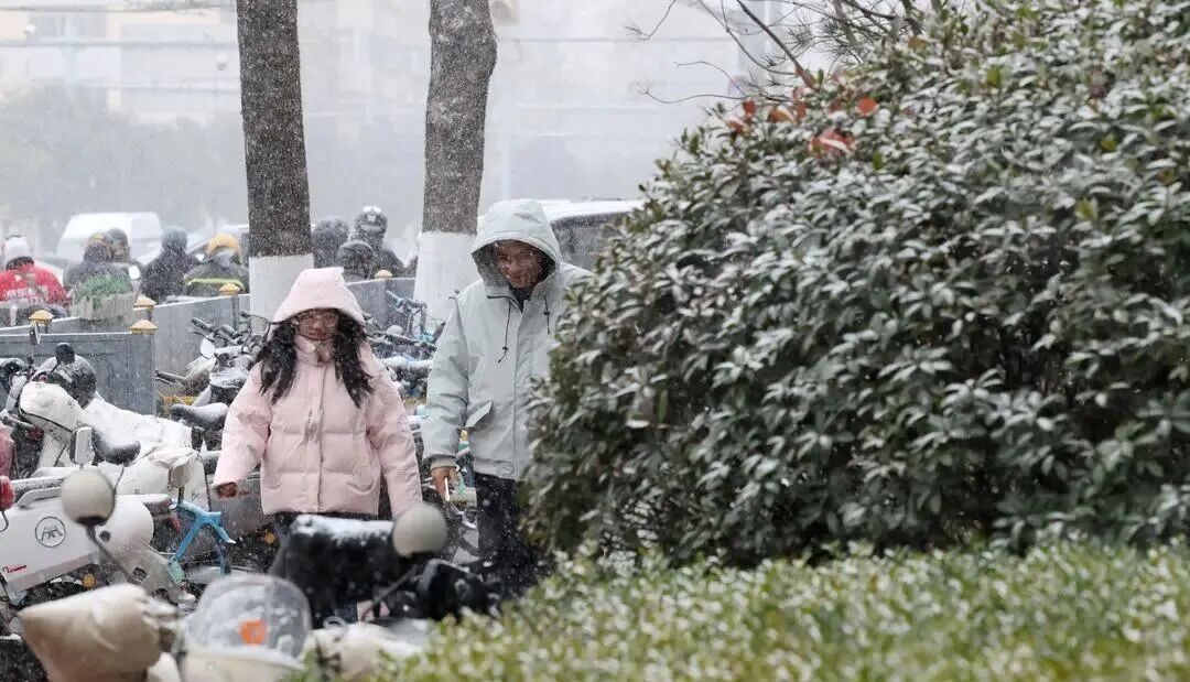 雪真的来了!山东道路结冰与寒潮预警持续生效,出行务必注意安全! 雪真的来了!山东道路结冰与寒潮预警持续生效,出行务必注意安全!