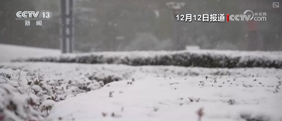 多部门以“雪”为令协同联动保畅通、保民生 全力护航百姓生产生活平稳有序