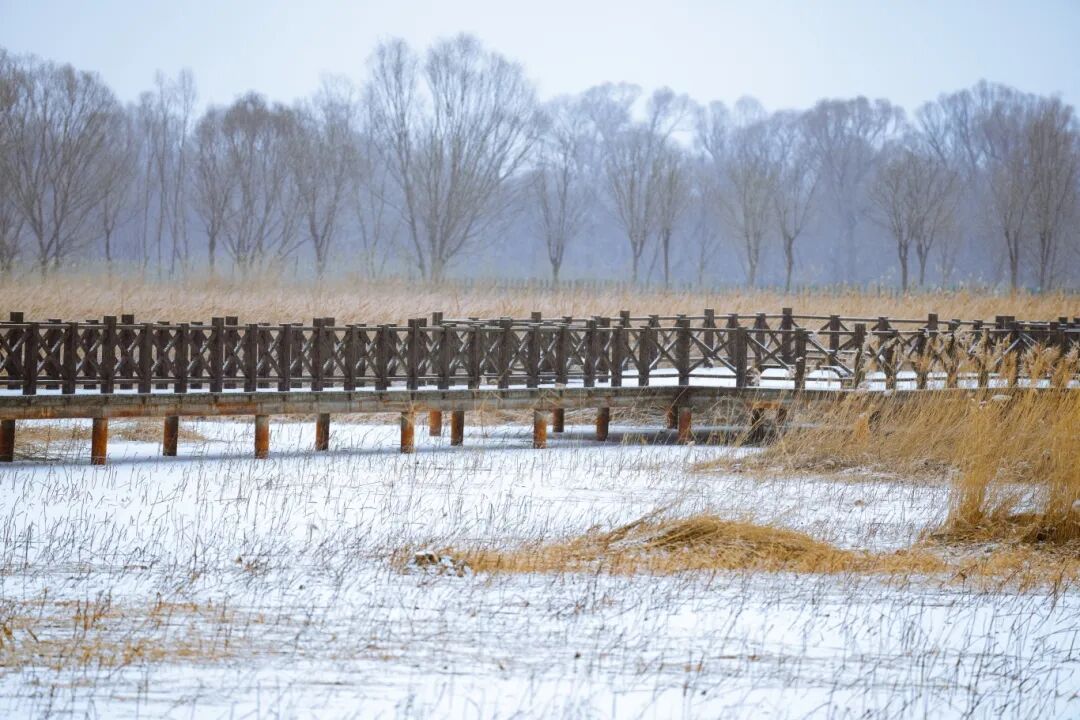 雪中延庆有多美？多图直击→