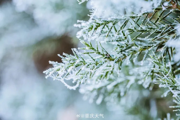 最大范围雨雪天气来袭！不怕，重庆下周这几天都可以晒太阳~~