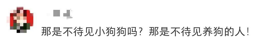 遛狗不拴绳,最高拘10天! 遛狗不拴绳,最高拘10天!