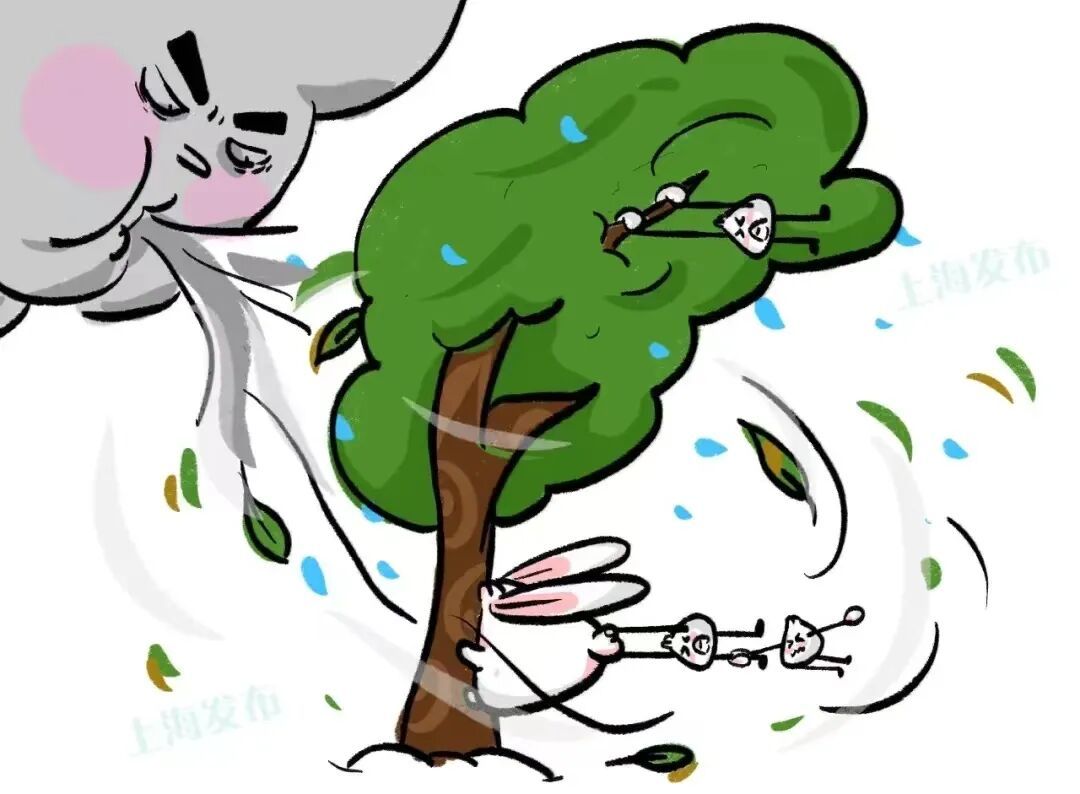 寒潮+大风!上海目前“双蓝”预警高挂 寒潮+大风!上海目前“双蓝”预警高挂