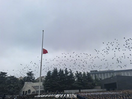 国家公祭仪式现场放飞和平鸽