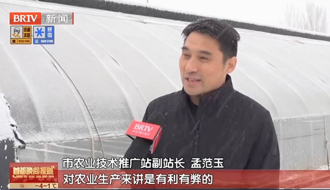 北京的这场雪,会影响菜价吗? 北京的这场雪,会影响菜价吗?