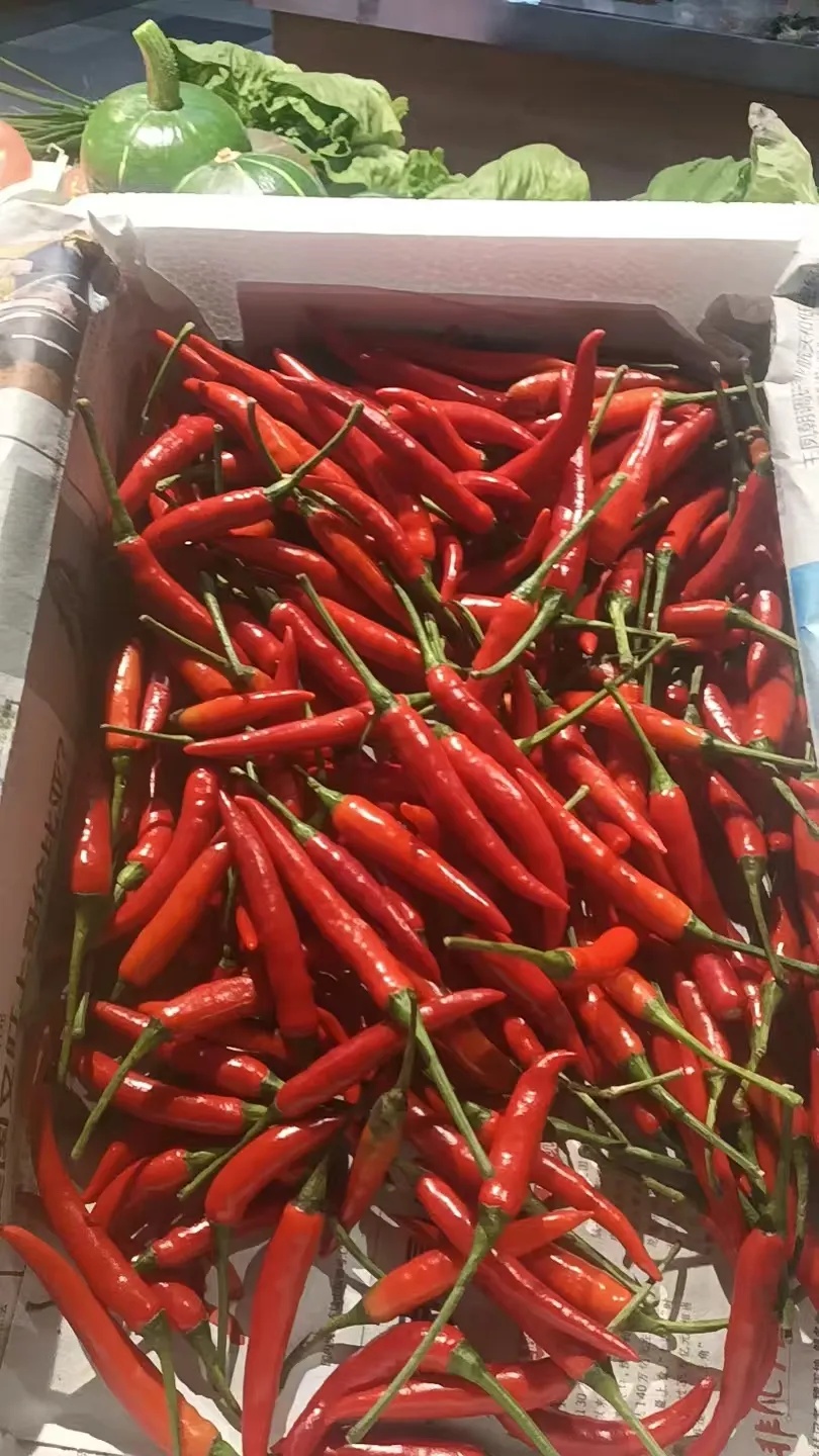 身价暴涨！浙江很多人拿来做下饭菜，老板：顾客说多贵都要买，因为……