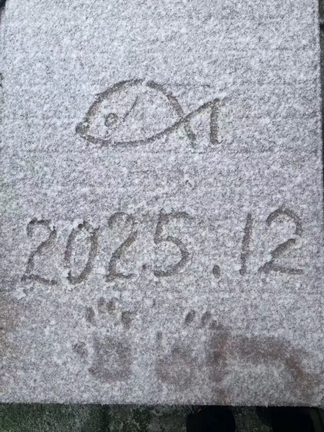 哇,下雪啦!杭州明后天气温“触底”,出门裹严实些 哇,下雪啦!杭州明后天气温“触底”,出门裹严实些