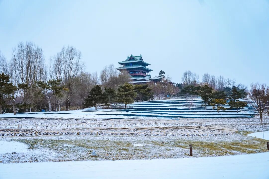 雪中延庆有多美？多图直击→