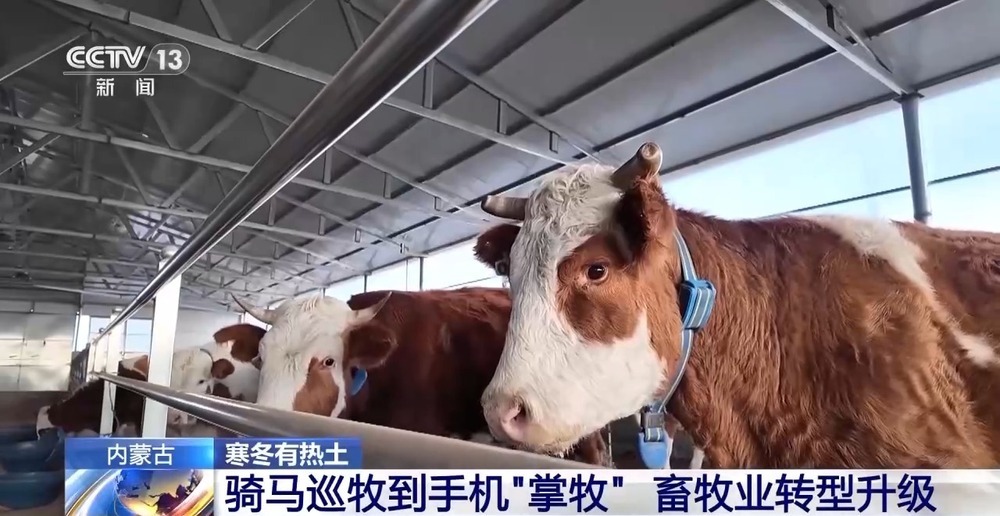 一只羊能有超170种产品!看草原美味如何撬动消费大市场 一只羊能有超170种产品!看草原美味如何撬动消费大市场