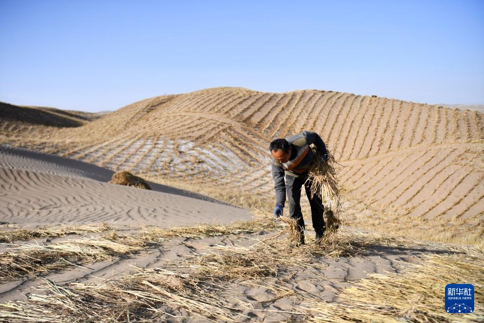 甘肃阿克塞：雪后忙治沙