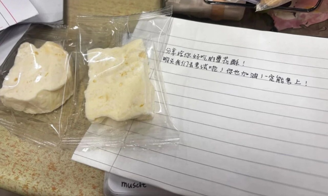 在家拉着小狗和我一起读书,网友:我家小狗完全起到一个绊脚石作用…… 在家拉着小狗和我一起读书,网友:我家小狗完全起到一个绊脚石作用……