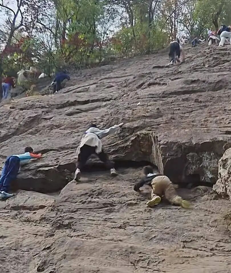 带娃野爬岳麓山“绝望坡”?!景区:擅自进入风险自负 带娃野爬岳麓山“绝望坡”?!景区:擅自进入风险自负