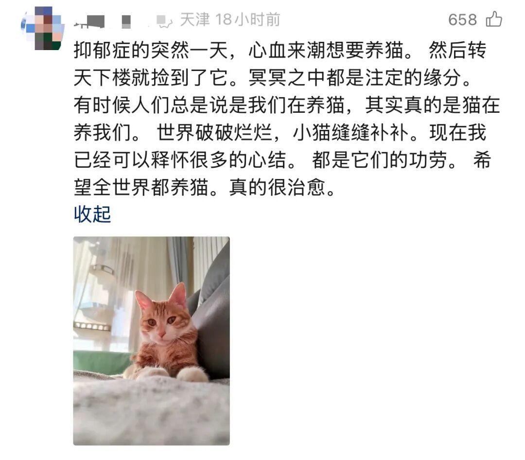 事发上海高架!交大教授突然下车!网友热议,交警提醒! 事发上海高架!交大教授突然下车!网友热议,交警提醒!