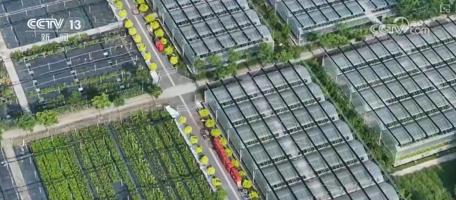 以确定性政策托举信心 让百姓“有钱花、敢花钱”