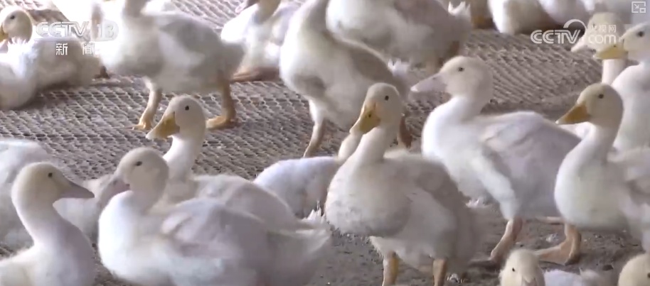 多部门协同联动应对寒潮 为居民生产生活取暖提供有力保障