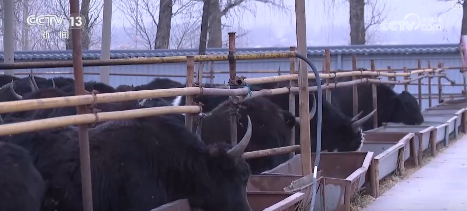 多部门协同联动应对寒潮 为居民生产生活取暖提供有力保障