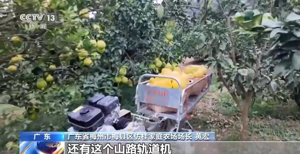 从“会种地”到“慧种地” 看十亿亩农田“版本升级”