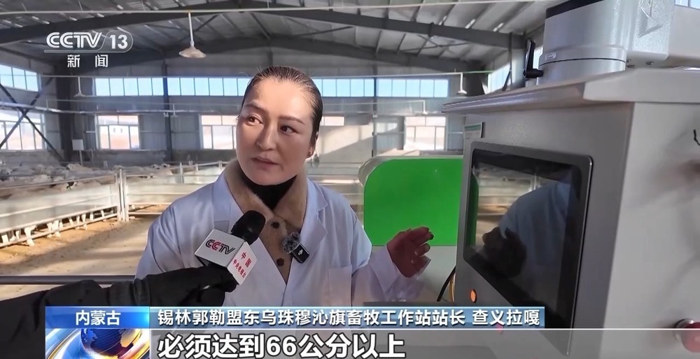 一只羊能有超170种产品!看草原美味如何撬动消费大市场 一只羊能有超170种产品!看草原美味如何撬动消费大市场