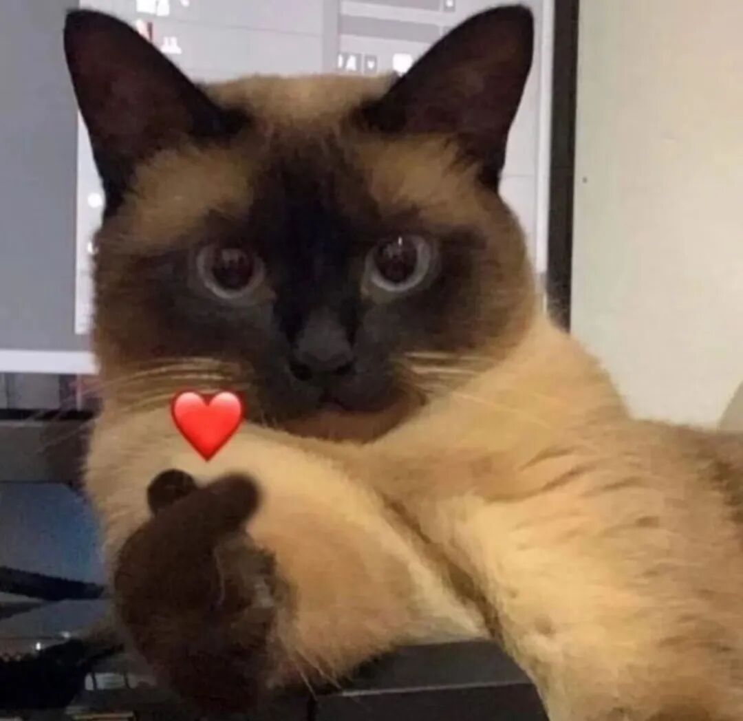 在家拉着小狗和我一起读书,网友:我家小狗完全起到一个绊脚石作用…… 在家拉着小狗和我一起读书,网友:我家小狗完全起到一个绊脚石作用……