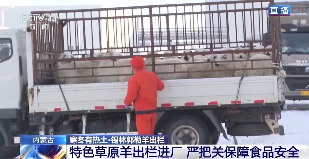 一只羊能有超170种产品!看草原美味如何撬动消费大市场 一只羊能有超170种产品!看草原美味如何撬动消费大市场