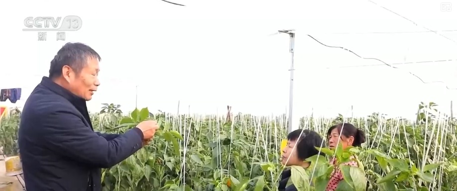 多部门协同联动应对寒潮 为居民生产生活取暖提供有力保障