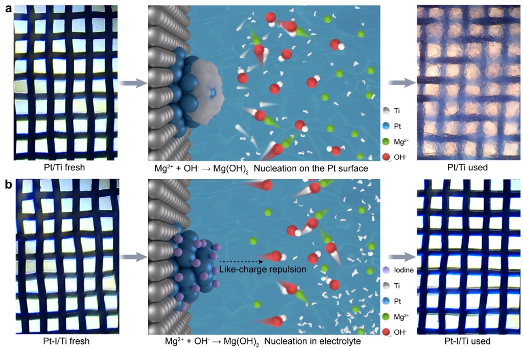新研制的“不粘锅”电极,实现电解海水制氢提镁联产! 新研制的“不粘锅”电极,实现电解海水制氢提镁联产!