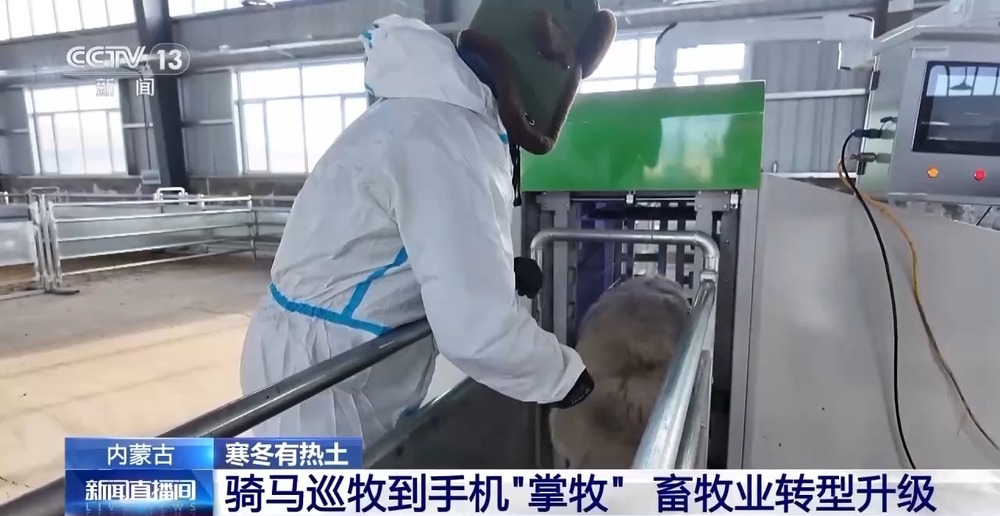 一只羊能有超170种产品!看草原美味如何撬动消费大市场 一只羊能有超170种产品!看草原美味如何撬动消费大市场