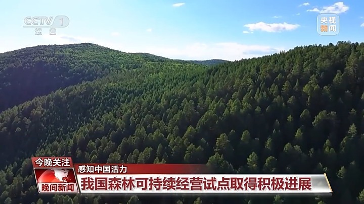 电影票房超500亿、AI赋能传统产业……中国活力持续迸发