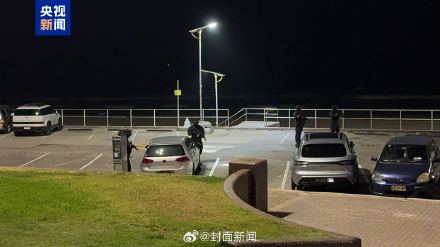 悉尼枪击事件已有12人死亡 悉尼枪击事件已有12人死亡