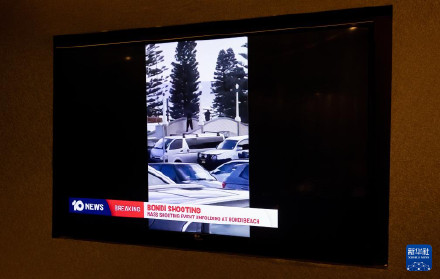 澳大利亚总理:邦迪滩枪击事件是针对澳犹太人的恐怖袭击 澳大利亚总理:邦迪滩枪击事件是针对澳犹太人的恐怖袭击