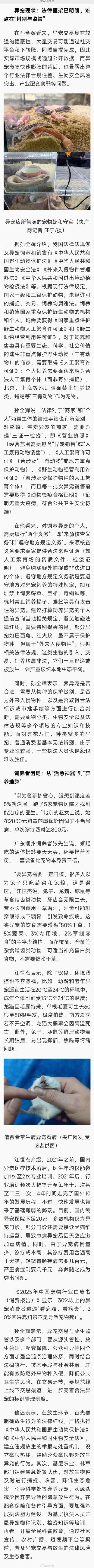 起底爬虫市场非法饲养现状 起底爬虫市场非法饲养现状