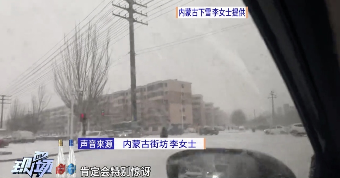 罕见!东莞一棵荔枝树居然在12月结果了 罕见!东莞一棵荔枝树居然在12月结果了