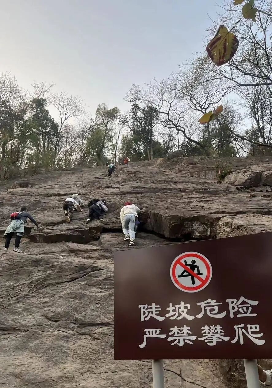 带娃野爬岳麓山“绝望坡”?!景区:擅自进入风险自负 带娃野爬岳麓山“绝望坡”?!景区:擅自进入风险自负