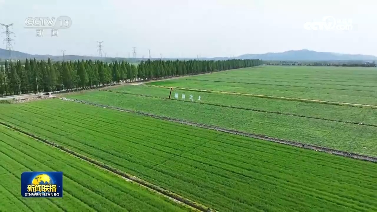 “十四五”期间我国新建改造提升高标准农田4.6亿亩 “十四五”期间我国新建改造提升高标准农田4.6亿亩