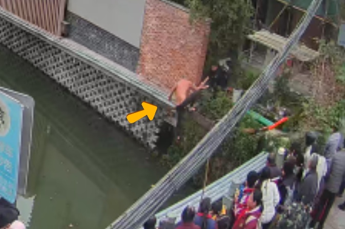 把河当成 “泳池”？男子醉酒后跳河，爬上岸又跳下！